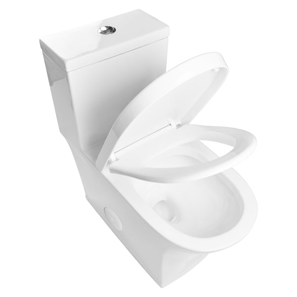 One-Piece Elongated Toilet, Dual-Flush Glazed Surface with Multiple Types