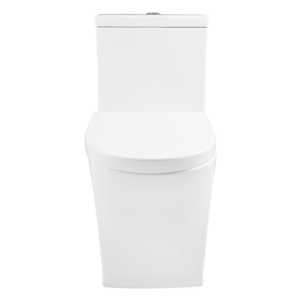 One-Piece Elongated Toilet, Dual-Flush Glazed Surface with Multiple Types