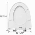 DeerValley Bath DeerValley DV-F626S11 Quick-Release Quiet-Close Plastic Elongated Polypropylene Toilet Seat (Fit with DV-1F52626/DV-1F52676/DV-1F52677) Toilet Seats