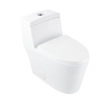 PRISM One-Piece Elongated Toilet, Dual-Flush Glazed Surface with Multiple Colors