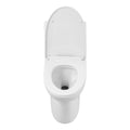 DeerValley Bath DeerValley DV-1F52677 Ursa Dual-Flush Elongated One-Piece Full-Size Toilet (Seat Included) Toilet