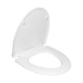 DeerValley Bath DeerValley DV-F807S11 Elongated Plastic Polypropylene Toilet Seat (Fit with DV-1F52807) Toilet Seats