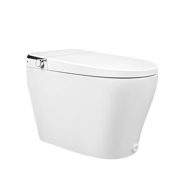 DeerValley DV-1S0029-V3 Smart Bidet Toilet, One-Piece Elongated Smart Toilet with Foot Kick Flush, Warm Wash (Seat Included)