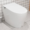 DeerValley Bath DeerValley DV-1S0029 Smart Bidet Toilet, One-Piece Elongated Smart Toilet with Foot Kick Flush, Warm Wash (Seat Included) Smart Seriers